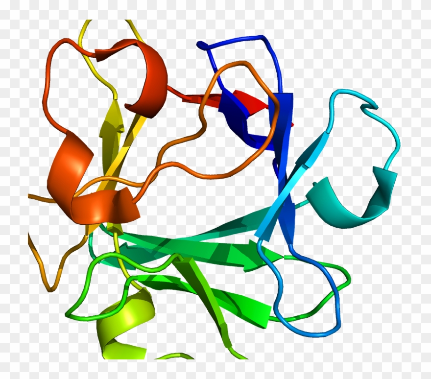 Technology News, 19 Jul 2014 - Fgf 2 Clipart