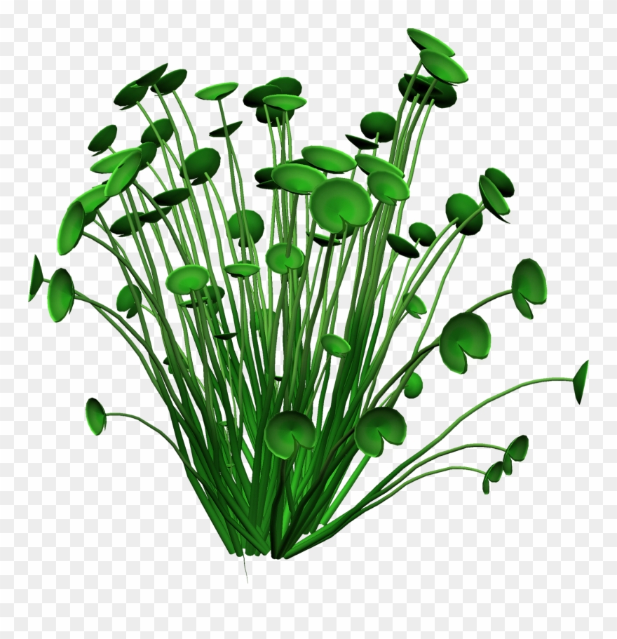 January Anniversaries Clipart - March Anniversary Clipart - Png Download