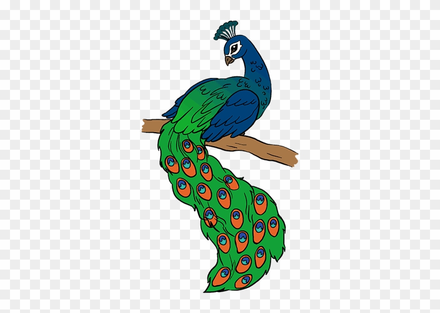 Peacock Drawing - Drawing Picture Of Peacock Clipart