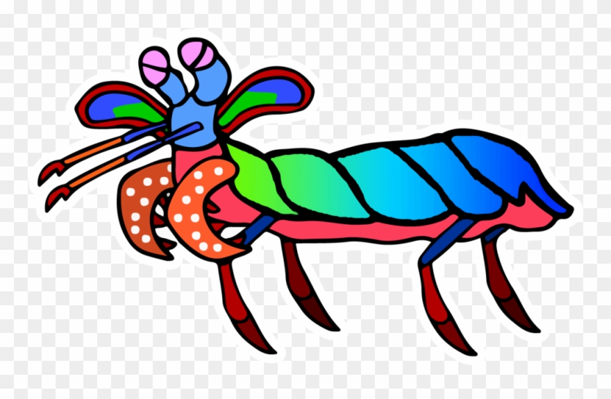 Picture Free Mantis Cartoon Desktop Backgrounds - Dibujo De Camarón Mantis Clipart