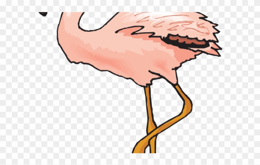 Flamingo Clipart Clip Art - Flamingovogel Notecard (freier Raum Nach Innen) 8 Karte - Png Download