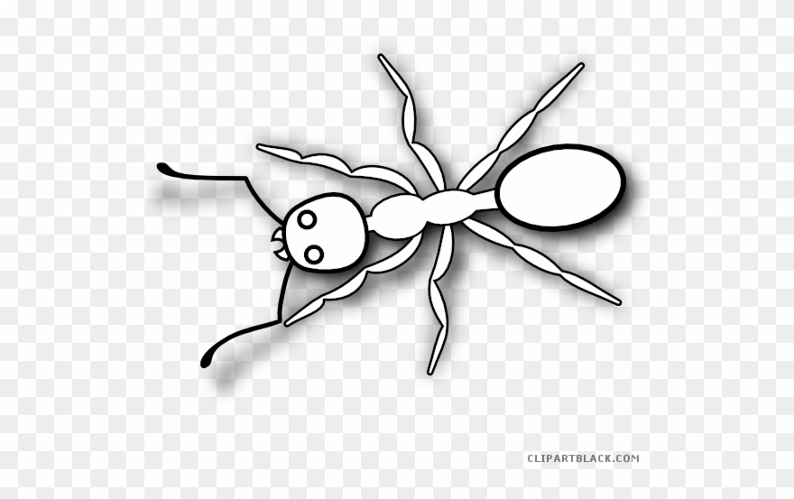 Banner Black And White Stock Ant Clipart Black And - Pencil Drawings Of Ant - Png Download
