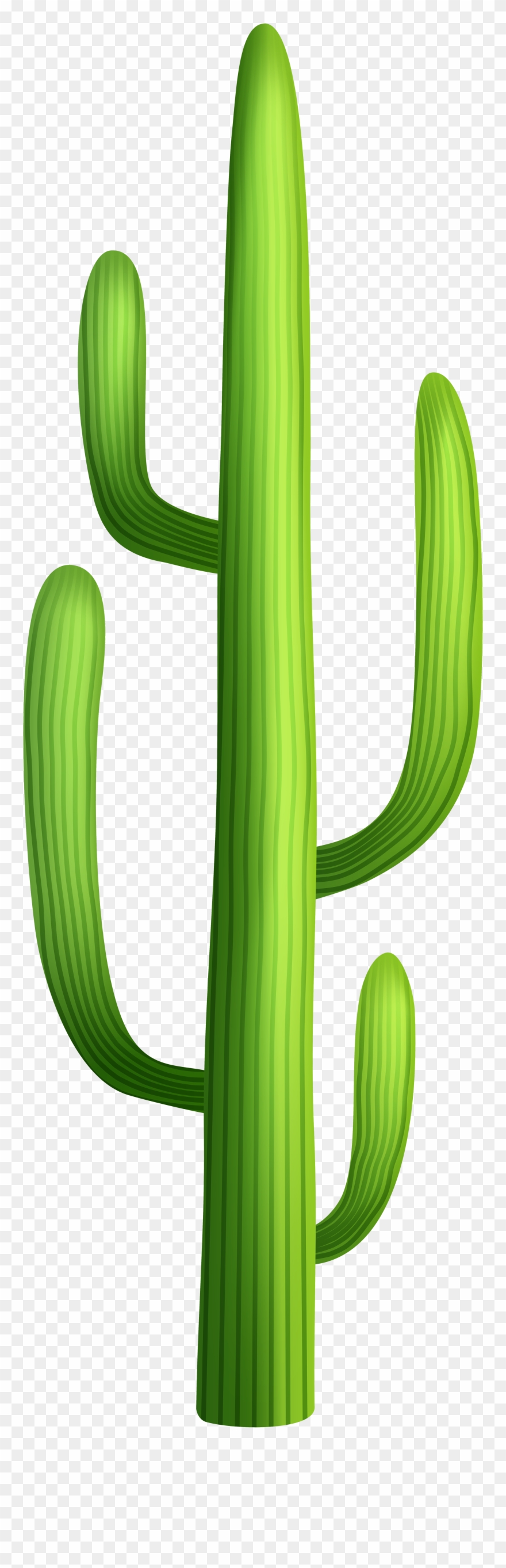 Transparent Desert Tree Clip Art - Png Download