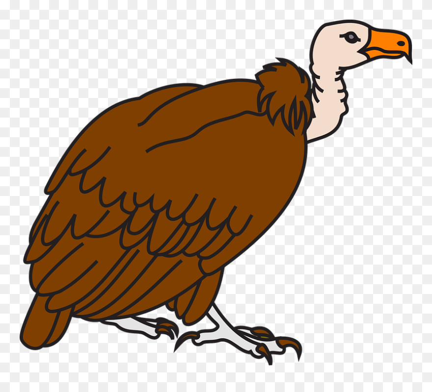 In The Desert Clipart Vulture - Vulture Clipart - Png Download