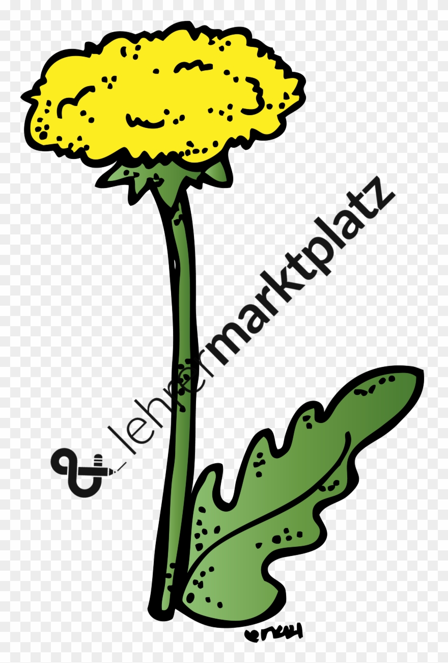 Blumen Alle Hier Gezeigten Bilder Sind In - Mathematics Clipart