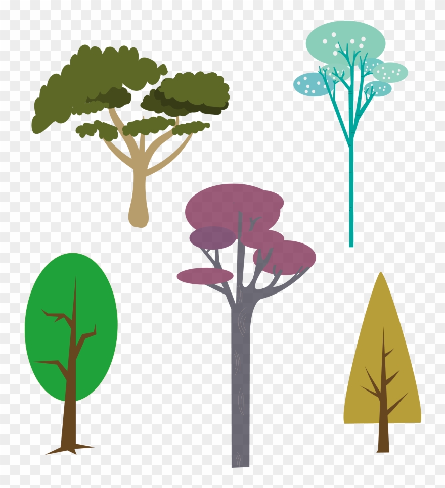 Vector Free Stock Leaf Drawing Trees Transprent Png - Tree Clipart