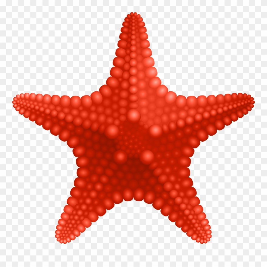 Starfish Clipart - Png Download
