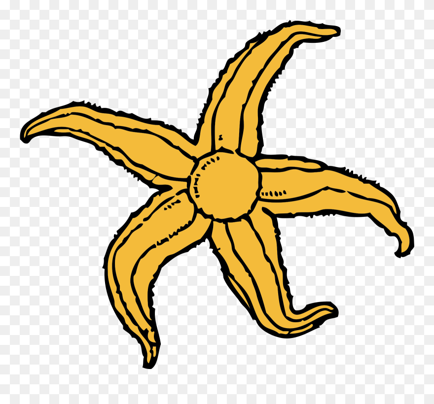 Free Starfish Clipart - Starfish Clip Art - Png Download