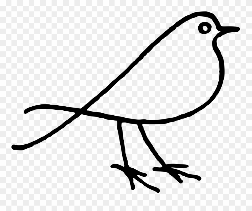 Bird Doodle Parrot Drawing Download - Bird Doodle Png Clipart