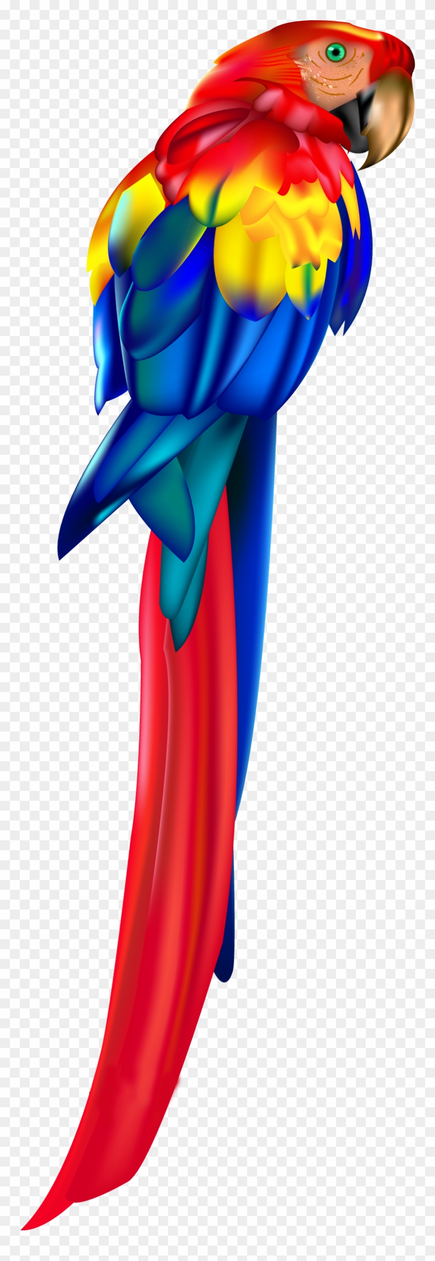Red Parrot Png Clipart - Parrot Transparent Png