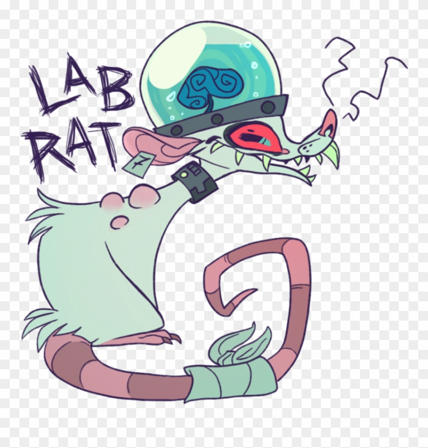 Labrat Free Clipart