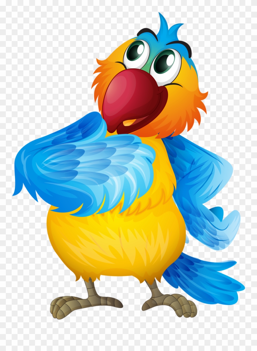 Aves & Passáros & Corujas Etc - Beautiful Bird Pics In Cartoon Clipart