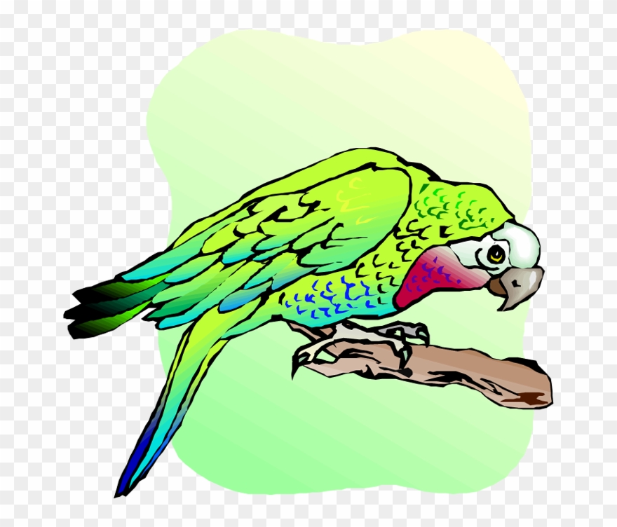 Free Parrot And Macaw Clipart - Budgie - Png Download