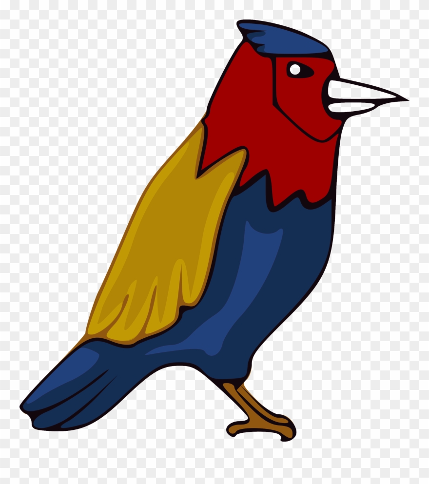 Parrot Clipart Colourful Parrot - Parrot - Png Download