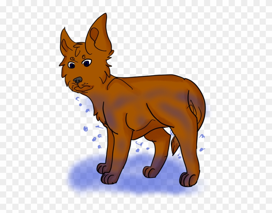 Codes For Insertion - Wet Pet Clip Art - Png Download