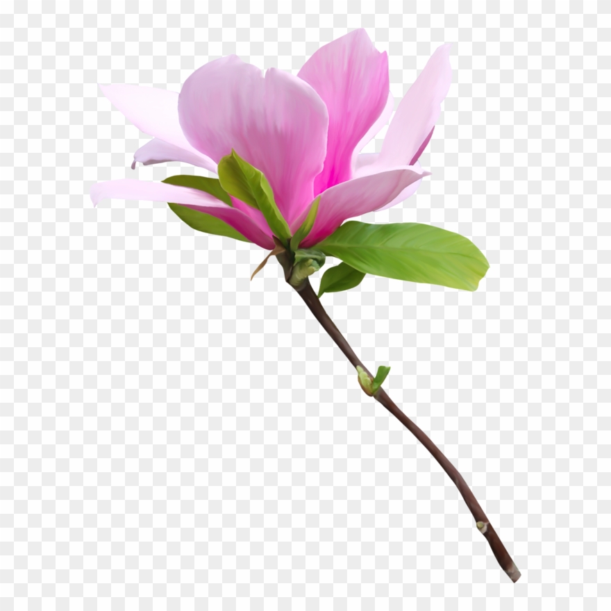 Clip Book - Clipart Kuranı Kerim - Png Download