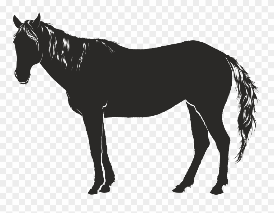 Free Clipart Of A Horse Rh Free Clipartof Com Clipart - Cavalo Sombra - Png Download