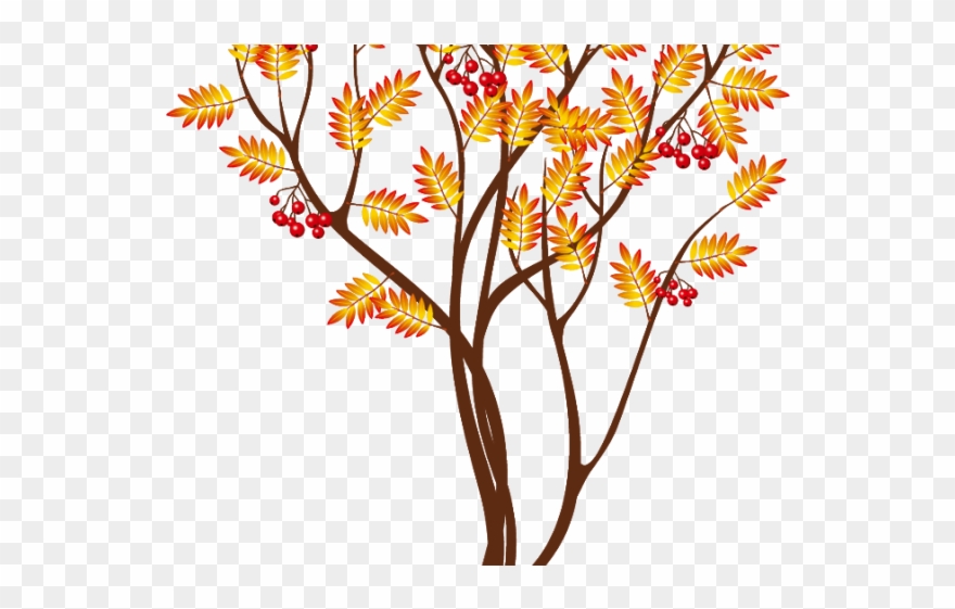 Blossom Clipart Cute Fall Tree - Береза Осень Пнг - Png Download