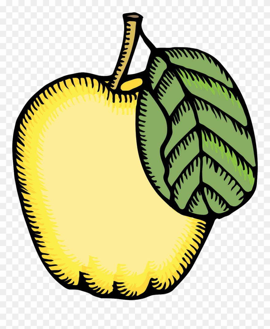 Free Apple Core Free Quince - Quince Clipart - Png Download