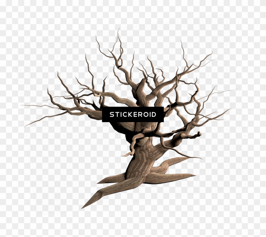 Tree Dead Branches Clipart