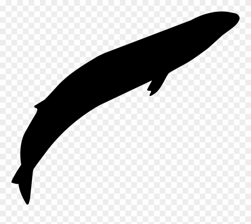 Grey Whale Shape Comments Clipart
