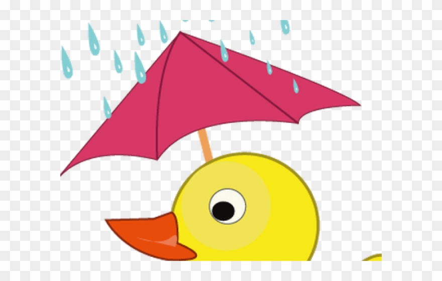 Mandarin Duck Clipart Rain - Png Download