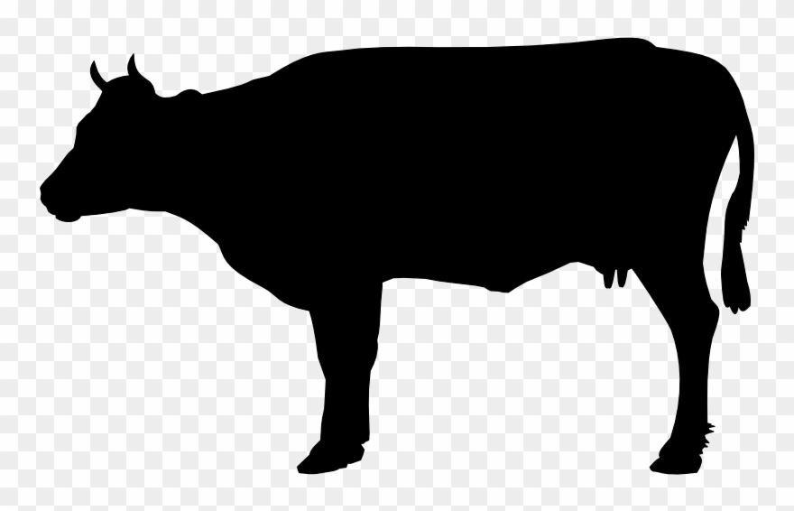 Show Cattle Clip Art - Png Download