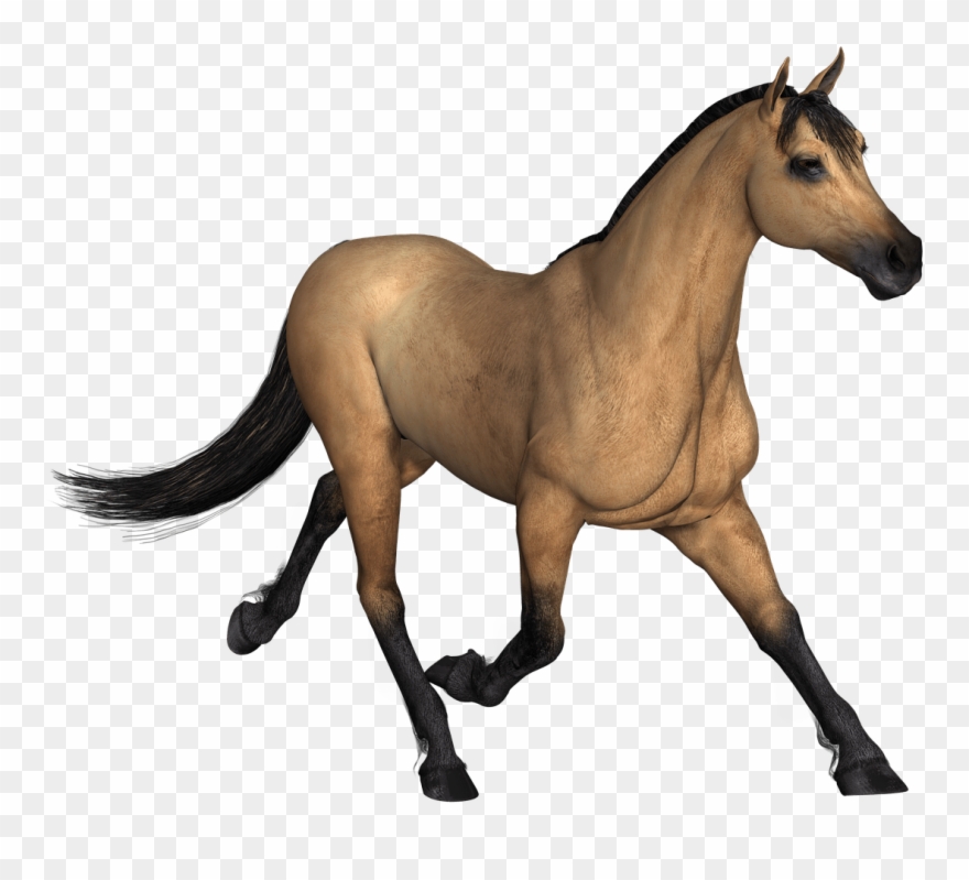 Brown Horse Running Clipart