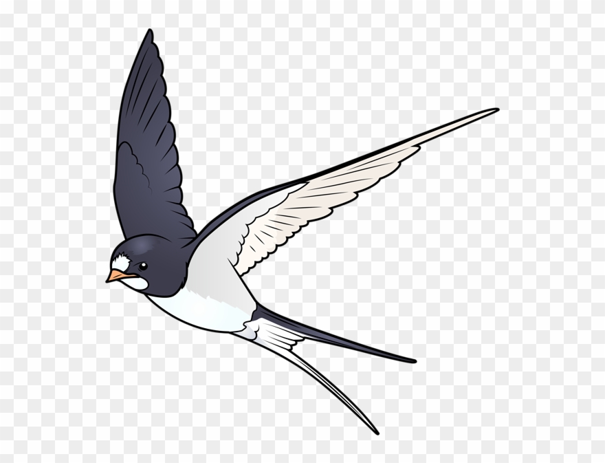 Cartoon Bird Png Transparent Image Gallery Yopriceville Clipart