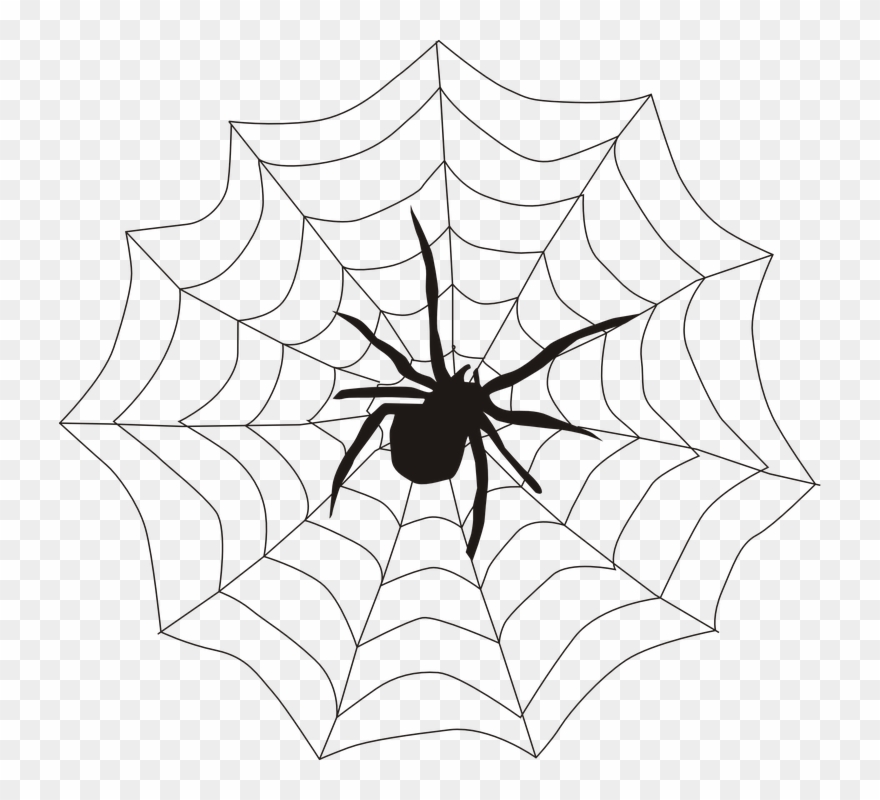 Spider Web Corner Transparent Clipart