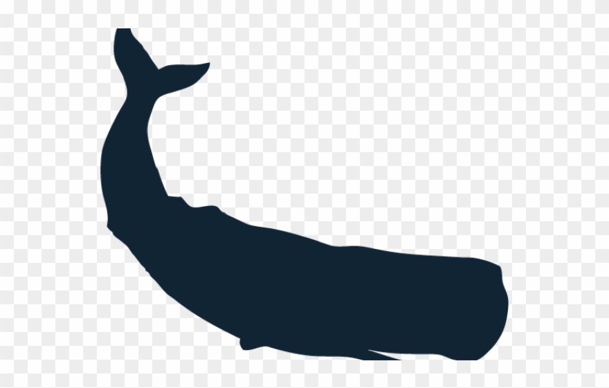 Sperm Whale Clipart Simple - Png Download