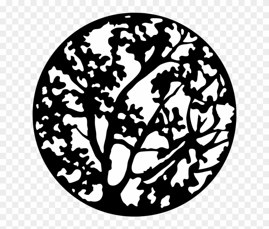 Spring Branches Clipart
