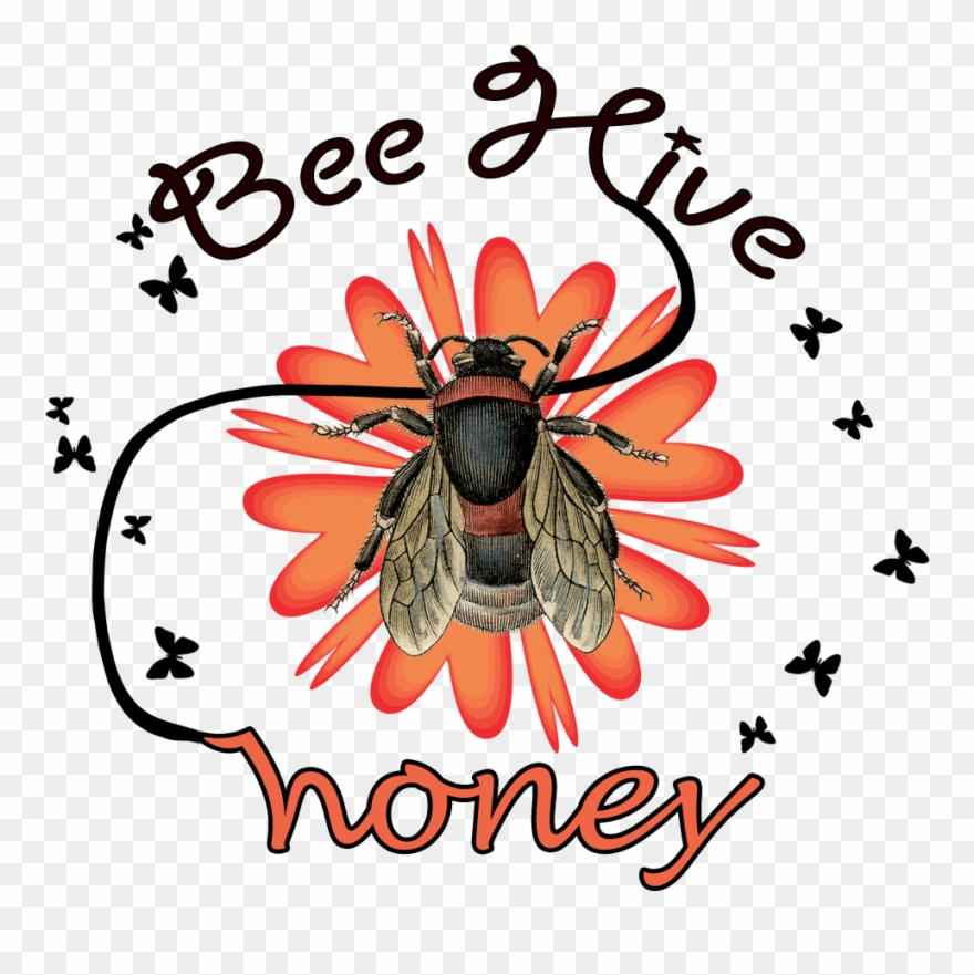 Download Hd Beehive Honey Clipart