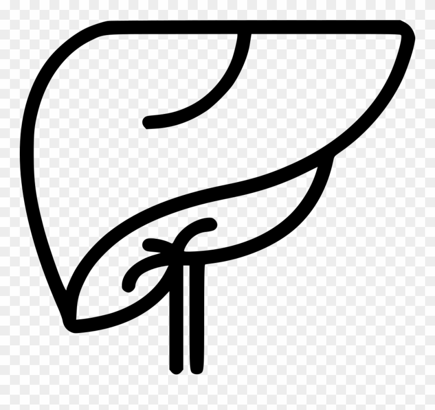 Liver Comments Clipart