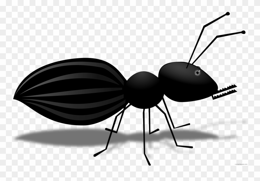 Ant Cartoon Animal Free Black White Clipart Images - Png Download