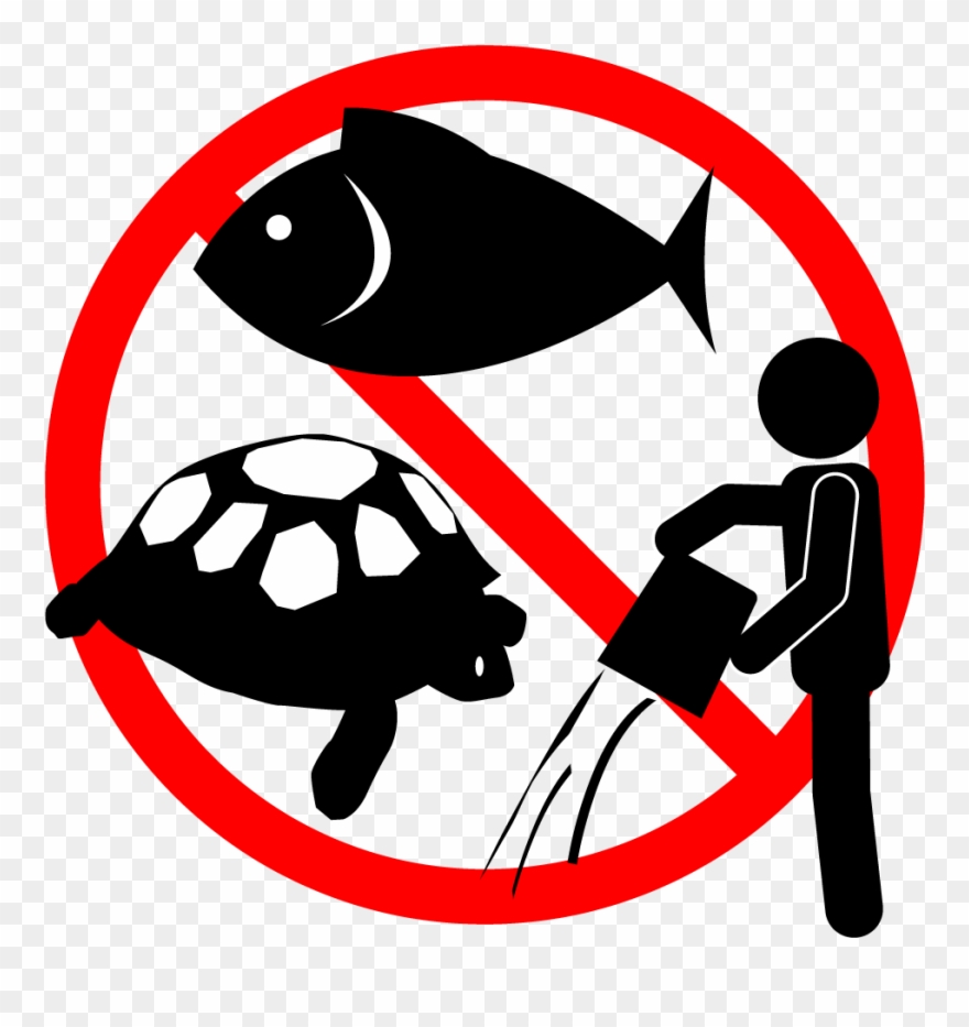 Do Not Let Pets Go To River / Pond Clipart