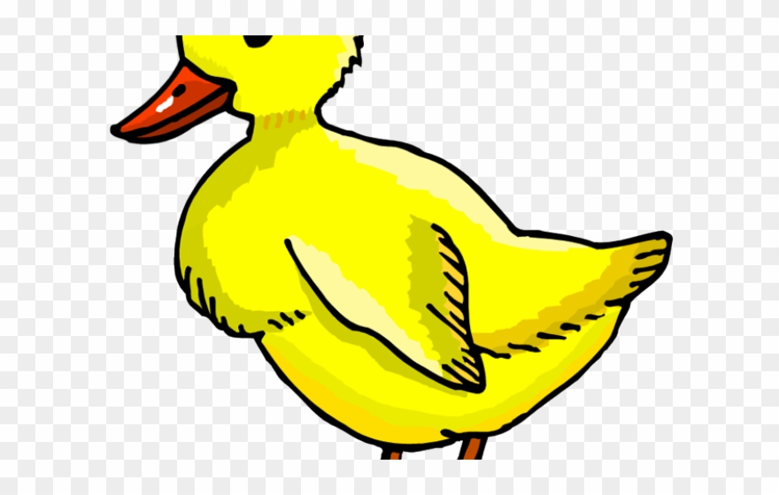 Duck Clipart Park - Png Download