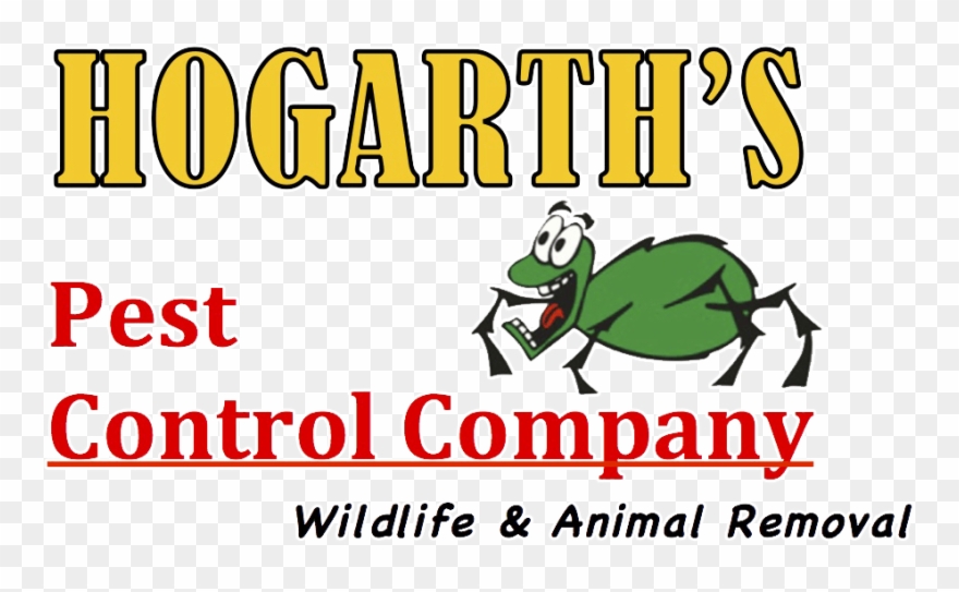 Eggs Vector Cracked Egg Clipart