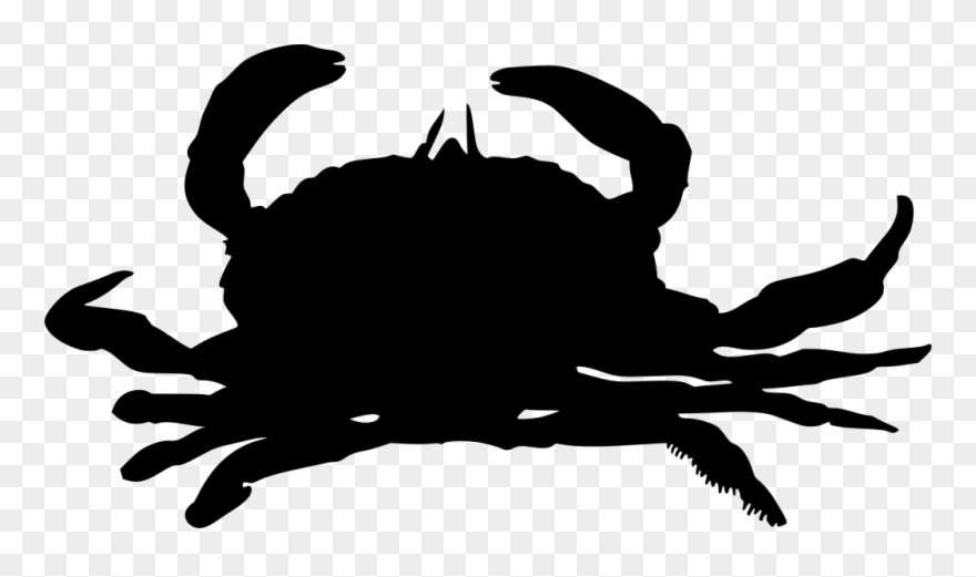 Info Clipart
