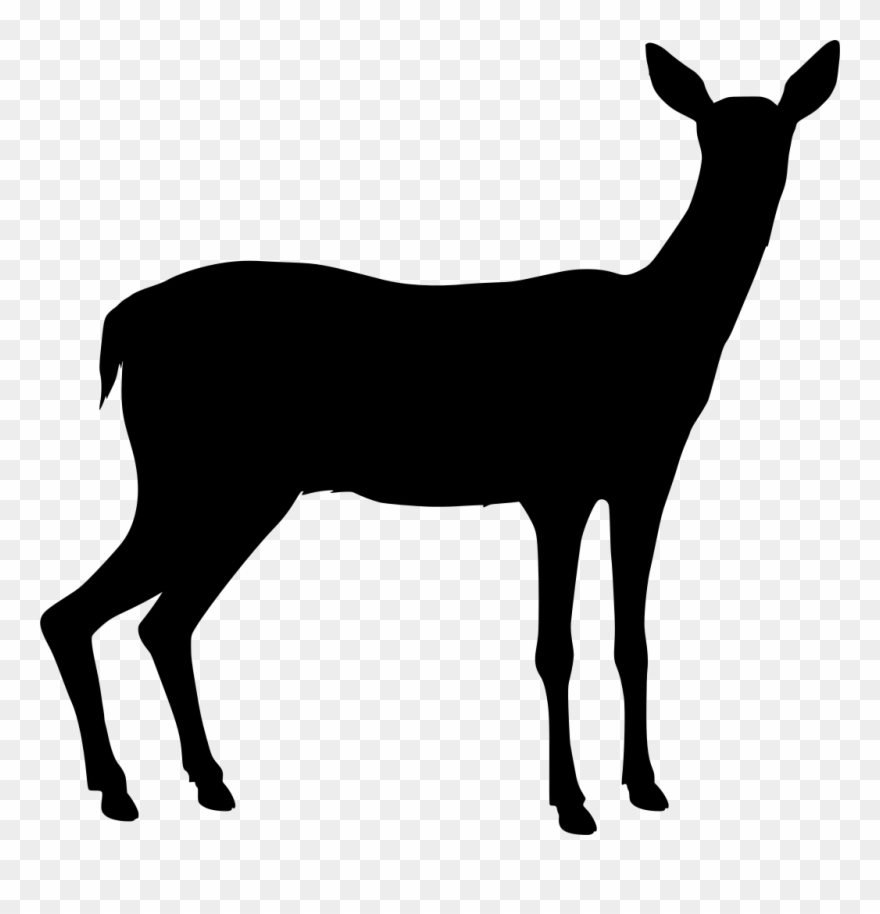 Info Clipart