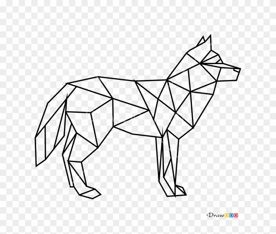 Drawing Polygon Wolf Geometric Clipart