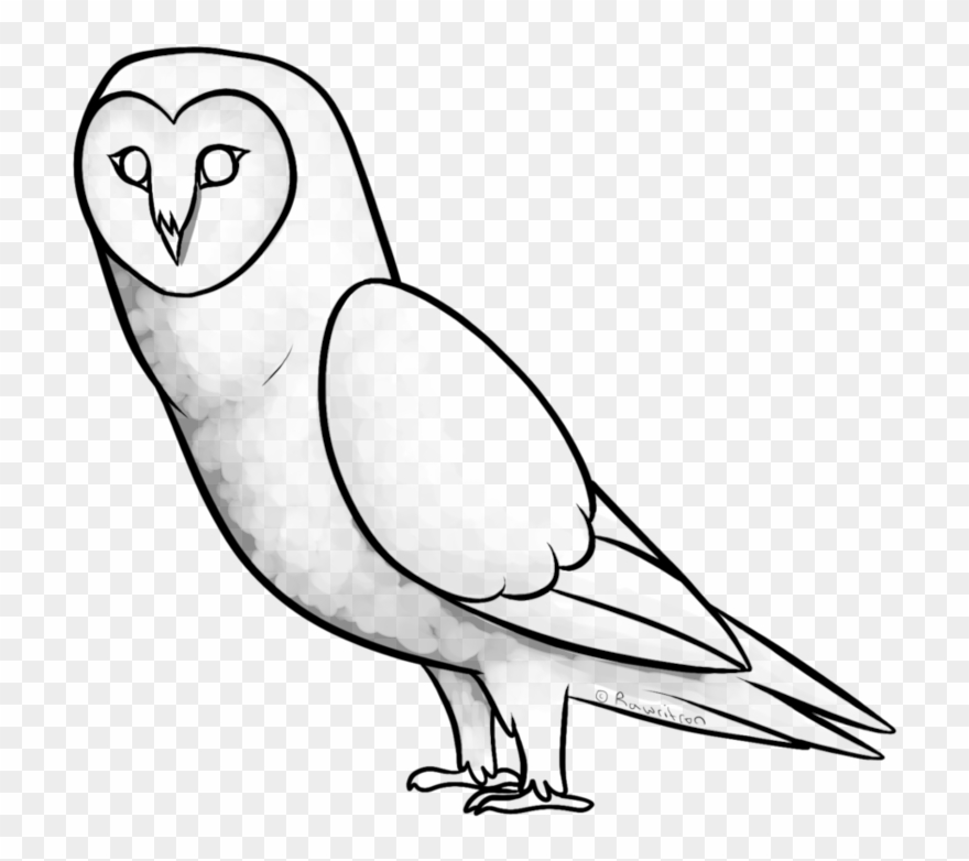 Collection Of Free Tea Drawing Owl Download Clipart