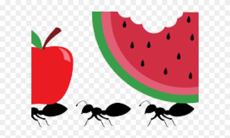 Ant Clipart Picnic Item - Png Download