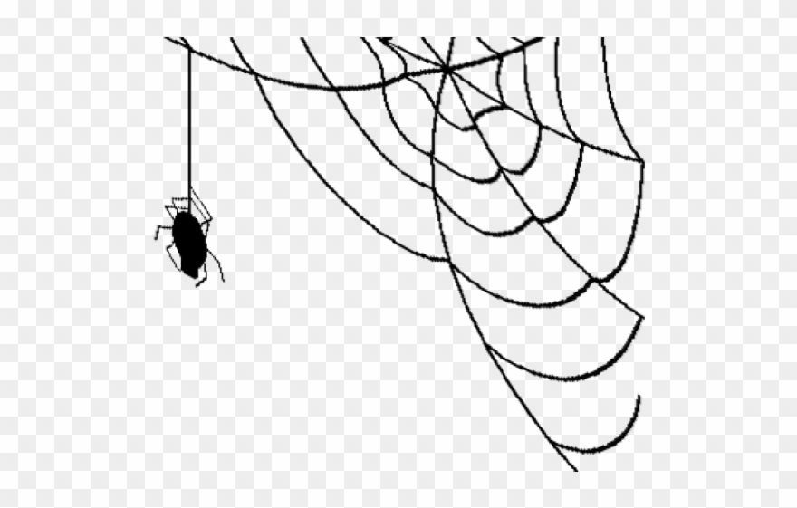 Spider Clipart Clear Background - Png Download