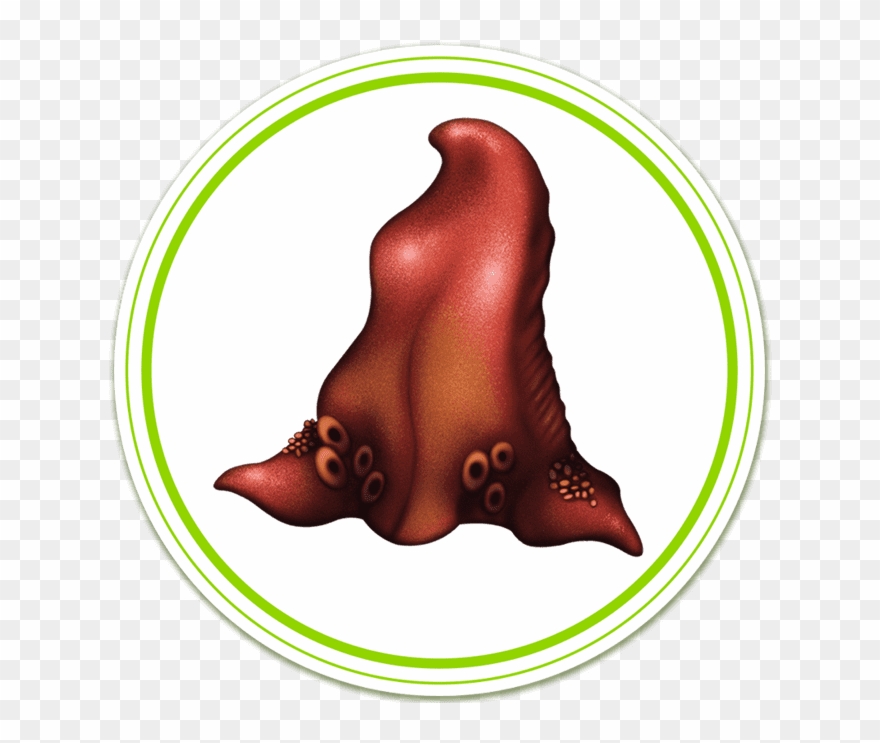 Frenchie Tongue The Innards Clipart