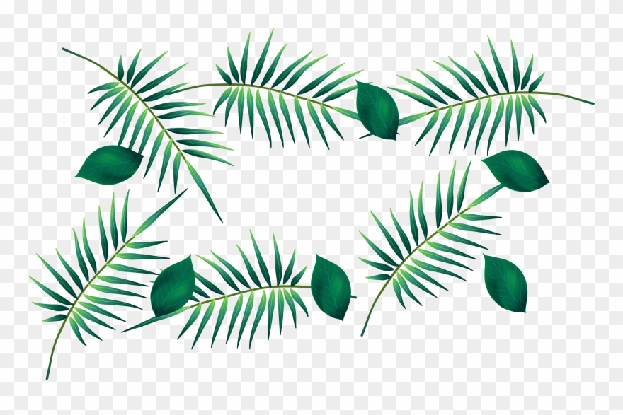 Free Png Download Palm Leaf Watercolour Transparent Clipart