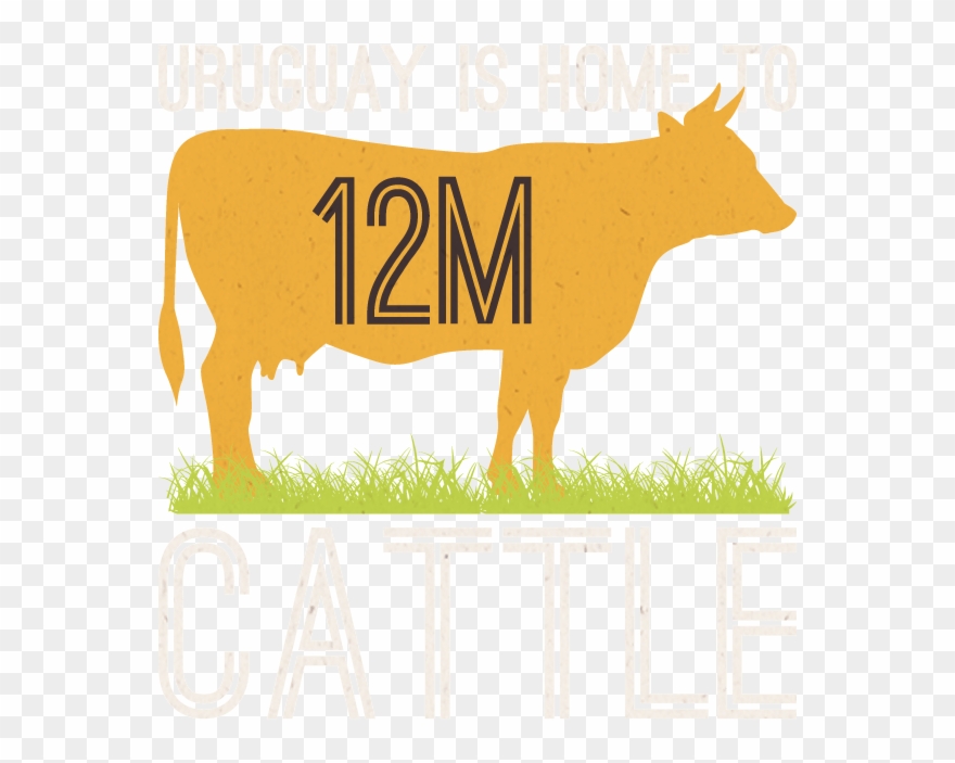 Uruguay Has 12m Cattle Clipart