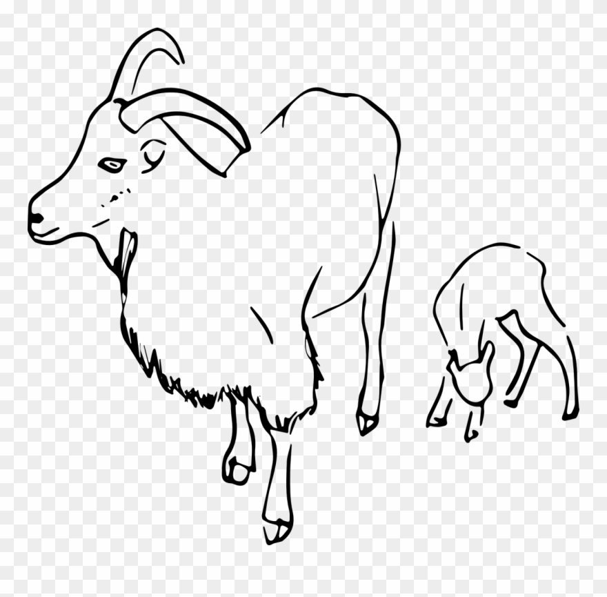 Mountain Goat Clipart Cool - Png Download