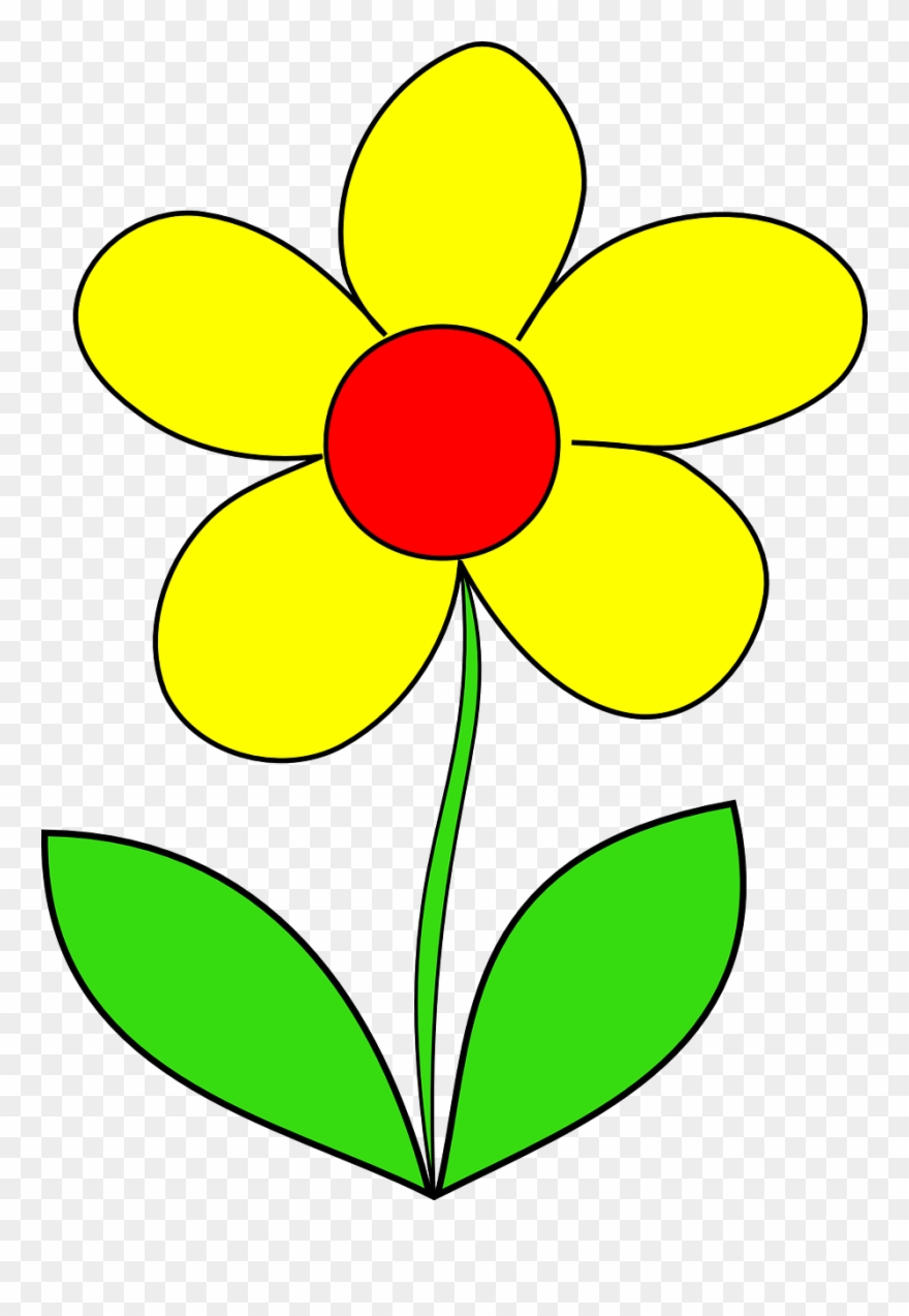 Vector Graphics,free Pictures Clipart