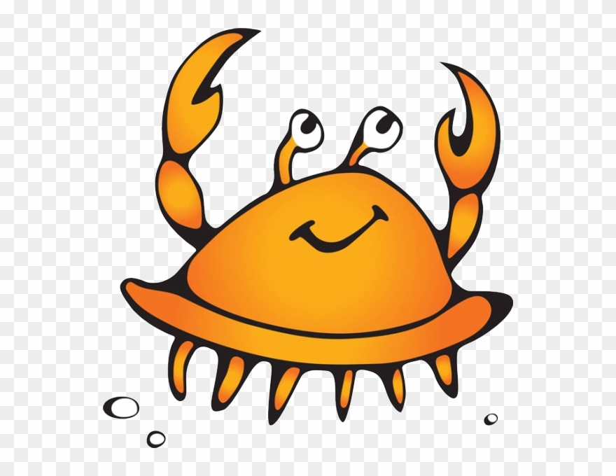 Clip Black And White Download Photography Clip Art - Png Download